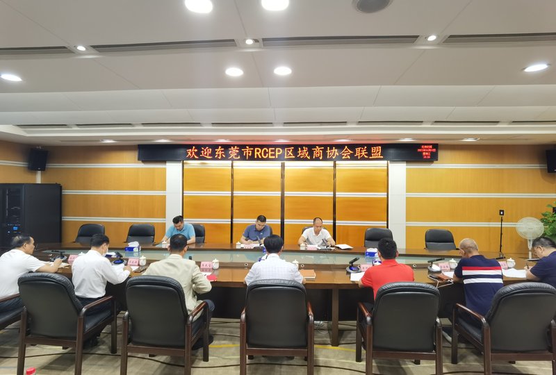 东莞市RCEP区域商协会联盟一行拜访我局.jpeg
