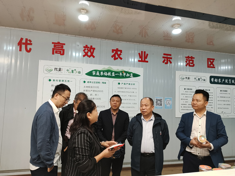 图001(1.1).jpg