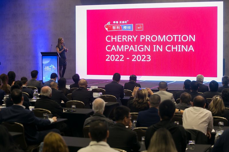 06 智利水果协会车厘子分会执行会长Claudia Soler.jpeg